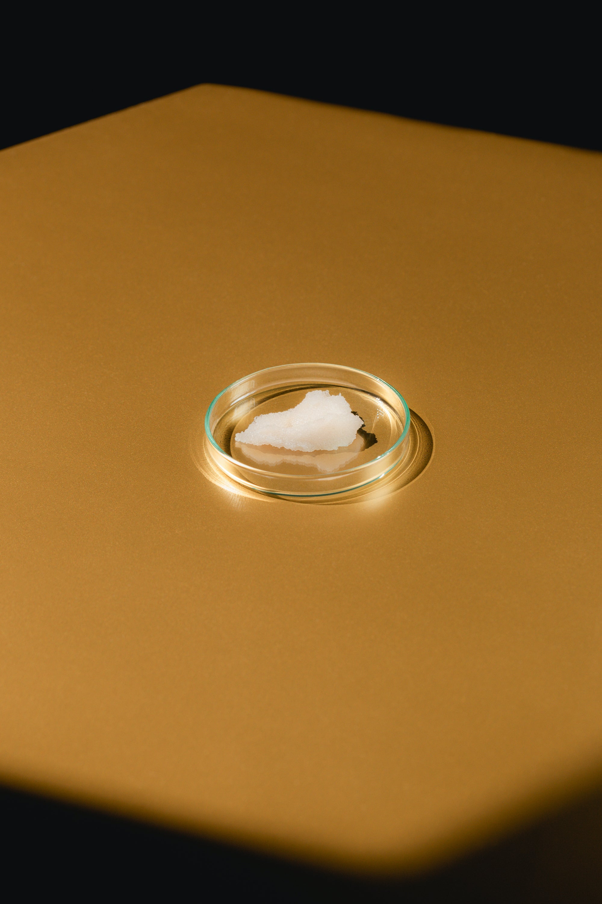 daniel-faro_DTS_Skin_05-2.jpg